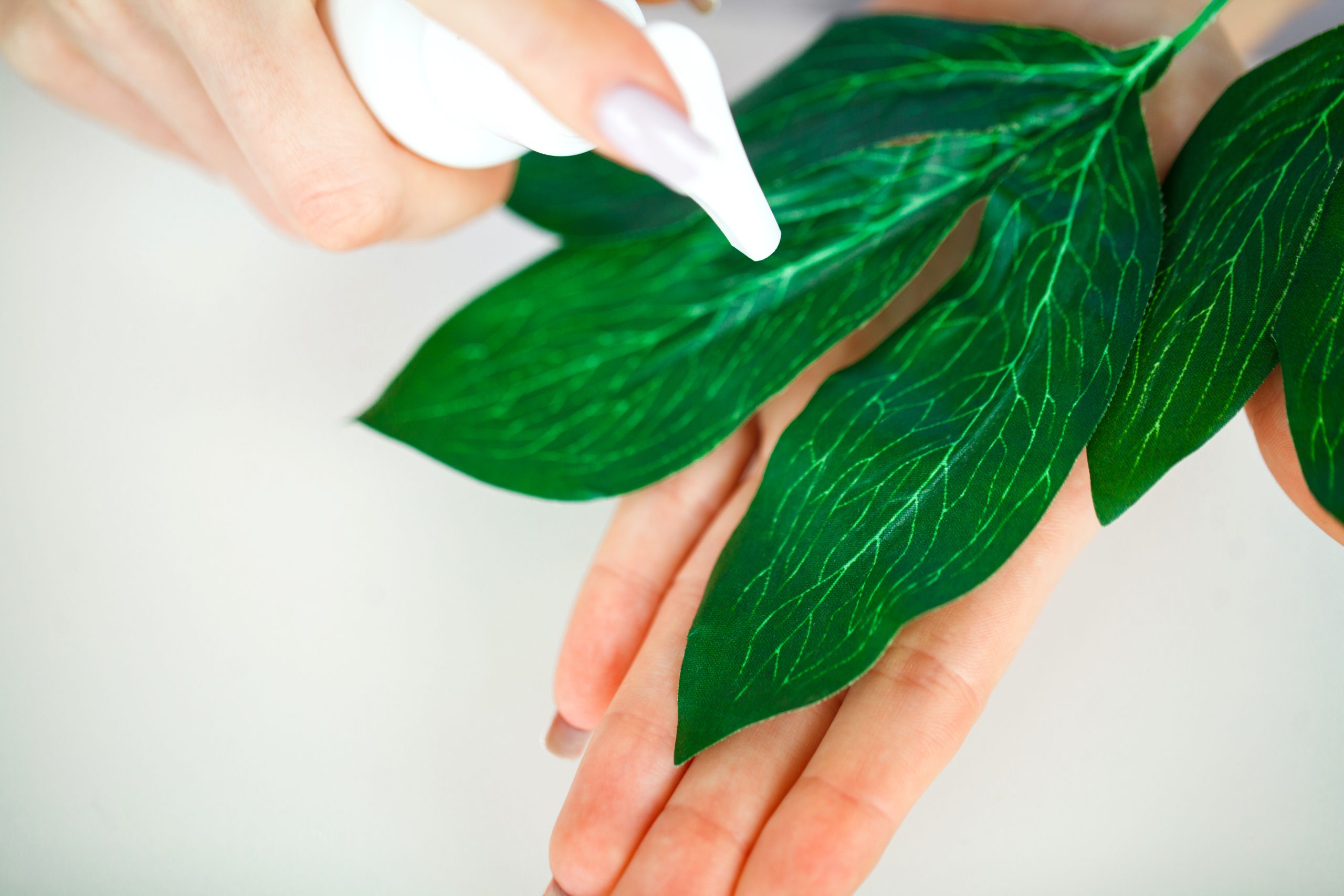 silicone-free conditioner,natural conditioner,private label hair care,oem/odm conditioner,hodm cosmetics,hair conditioner,hair care